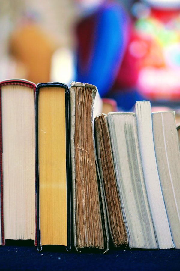Information Technology Law, 2nd edition